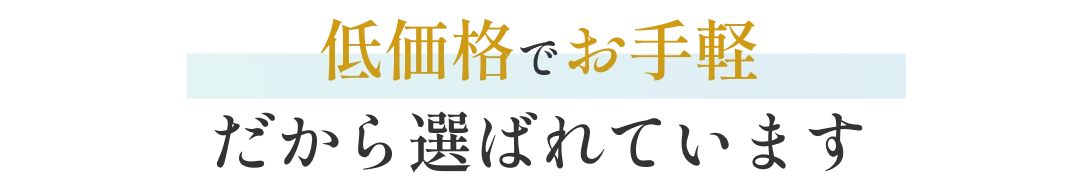低価格でお手軽 だから選ばれています